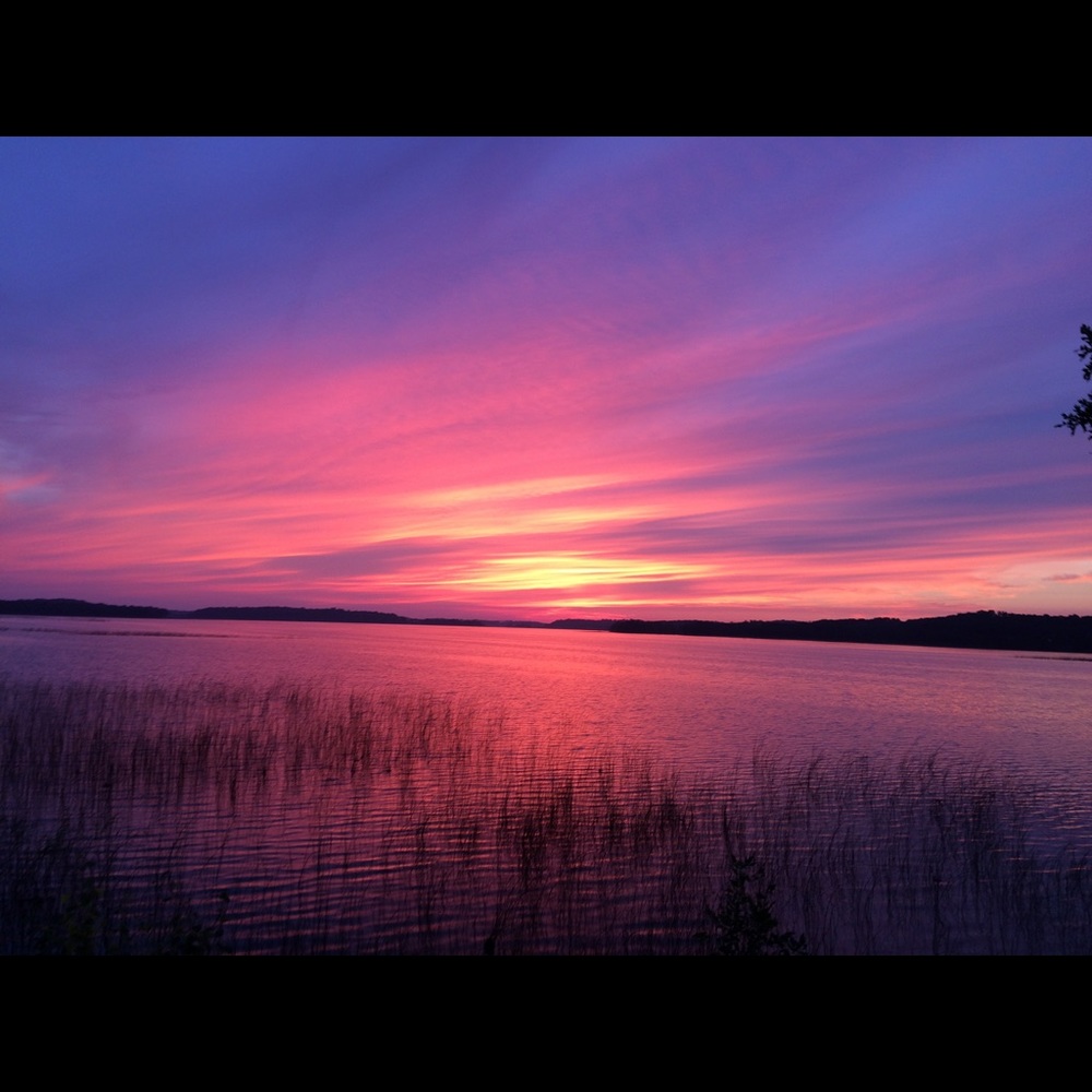 Meet your Posher, Tamar